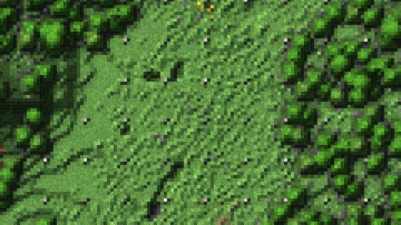 a Lampfield from above